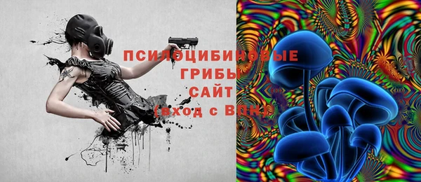 ПСИЛОЦИБИНОВЫЕ ГРИБЫ Дмитриев