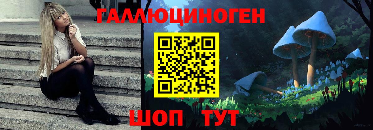 Галлюциногенные грибы Cubensis  Вход с VPN  Галлюциногенные грибы Magic Shrooms  Торжок 